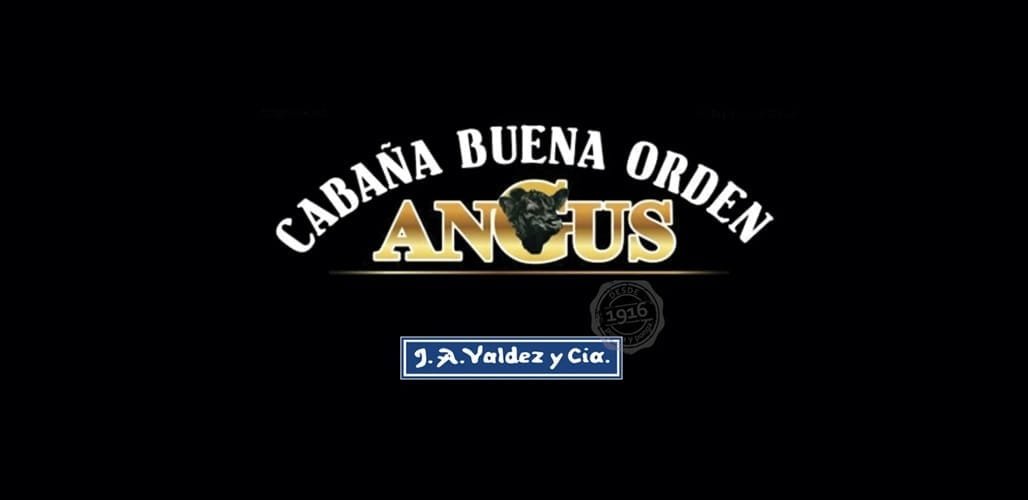 El remate de hoy y la agende de lo que se viene, con Valdez & Cía.