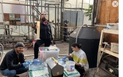 ¿Cómo ser más eficaces al usar agua y nutrientes en invernaderos y vivero?