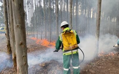 India incorpora el monitoreo geoespacial para controlar incendios forestales.