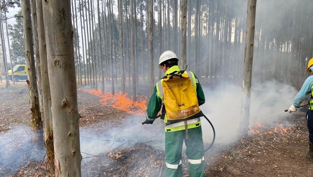 India incorpora el monitoreo geoespacial para controlar incendios forestales.