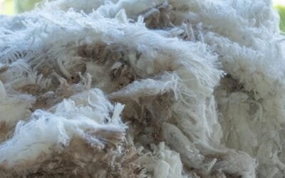 Lana: El Indicador del Este bajó a US$ 7.72.