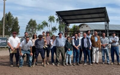 Con Jaso y Jaso y Daniel Dutra, los toros de San Gerardo promediaron US$ 2.620.