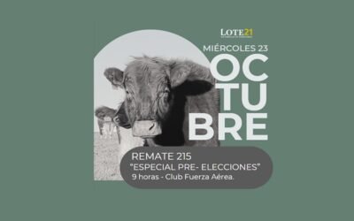 Hoy, remate preelectoral de Lote 21.