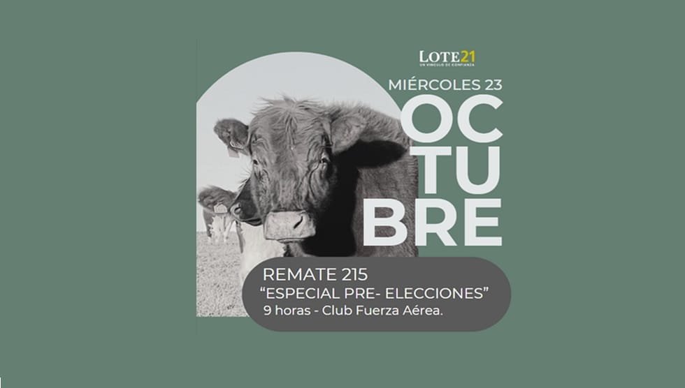 Hoy, remate preelectoral de Lote 21.