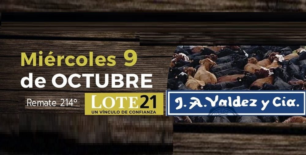 Valdez remata 900 vacunos, hoy en Lote 21.