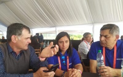 Gripe aviar: “Con la bioseguridad, la vacunación fue una estrategia fundamental”