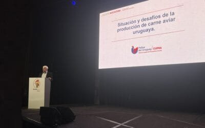 Consumo de aves en Uruguay: “Seguimos estando muy por debajo de lo que se consume en la región”.
