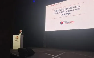 Stanham responde las críticas de Ferber al sector avícola.