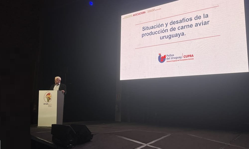 Consumo de aves en Uruguay: “Seguimos estando muy por debajo de lo que se consume en la región”.