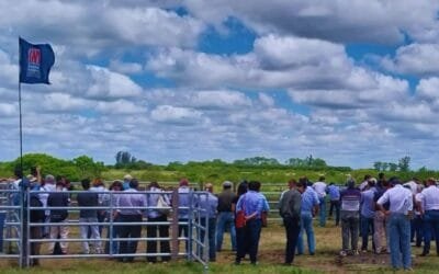 Argentina. La trazabilidad individual electrónica mejora la rentabilidad del sector