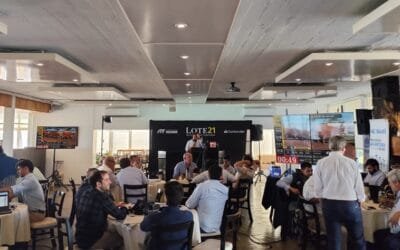 Lote 21 vendió el 99% de la oferta.