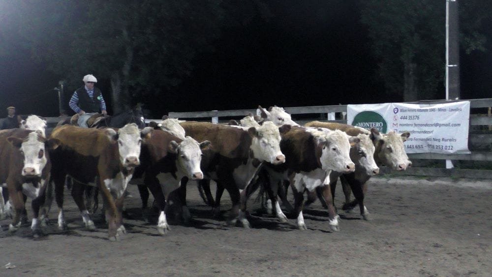 Prendida fuego la pista del Campanero, con Montero & Fernández.
