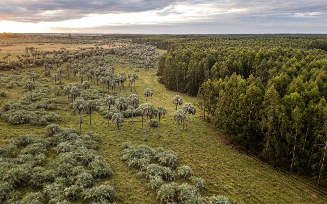 Montes del Plata presente en la mayor conferencia mundial de biodiversidad.
