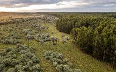 Montes del Plata presente en la mayor conferencia mundial de biodiversidad.
