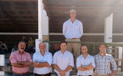 Con Jaso & Jaso, los toros de Remate Campero promediaron US$ 2.334.