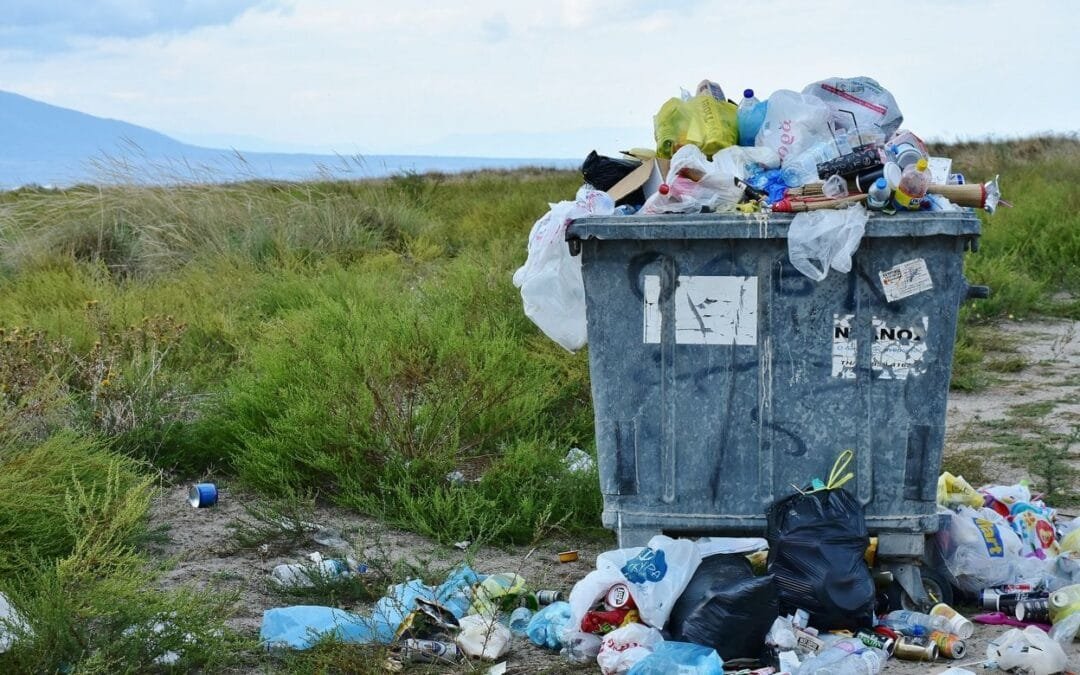 Proteger el medio ambiente no solo es tarea de quien produce alimentos, también del fabricante de envases.