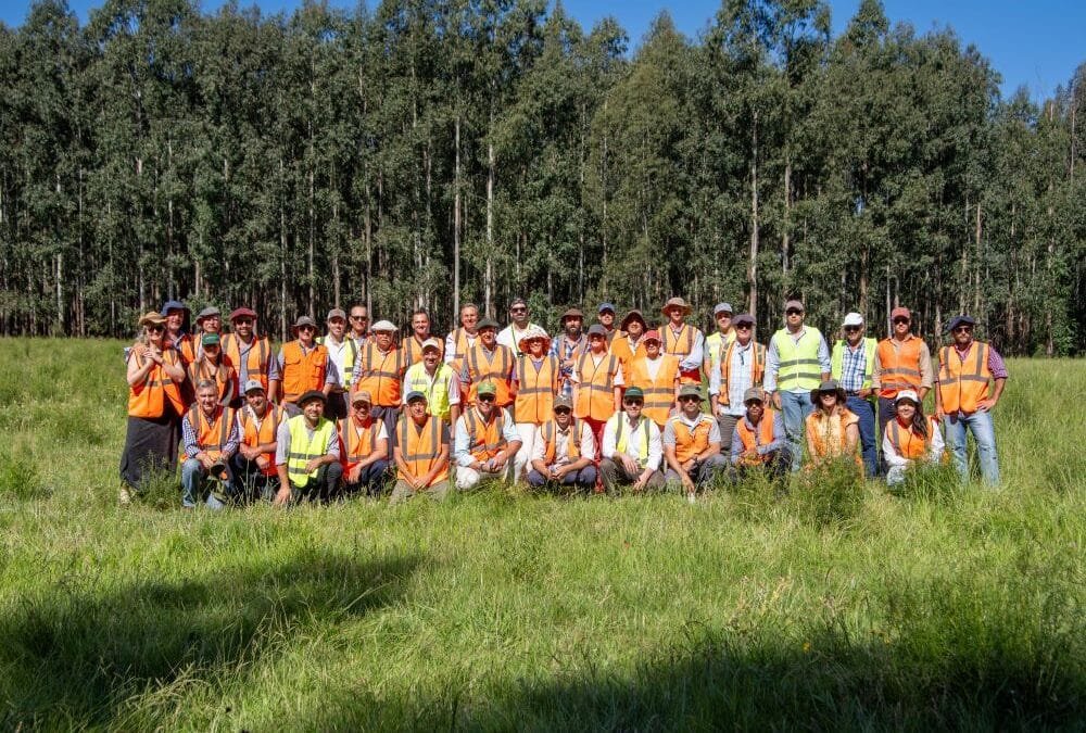 Pastoreo racional: Montes del Plata y Supra trabajarán juntos para incorporar prácticas de vanguardia en ganadería sostenible