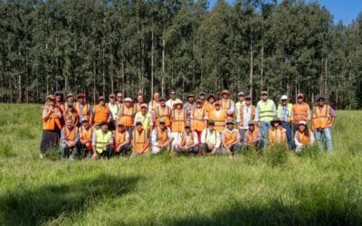 Pastoreo racional: Montes del Plata y Supra trabajarán juntos para incorporar prácticas de vanguardia en ganadería sostenible