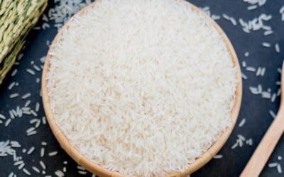 Arroceros paraguayos esperan una buena zafra.