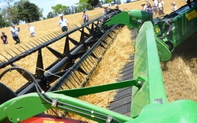 Se inauguró la cosecha de cebada.