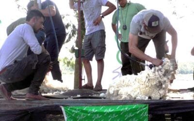 Exitosa 12ª edición del Cordero Serrano, organizado por Calai.