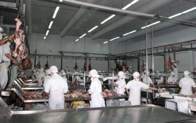 Paraguay anuncia auditoria de Filipinas para habilitar exportación de carne vacuna, porcina y aviar.