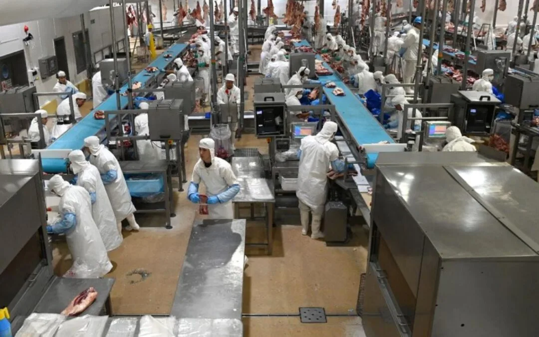 Frigoríficos argentinos reprograma producción para reducir gastos.