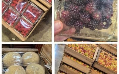 Mercado de granja: continúa creciendo la cantidad y variedad de frutas de estación