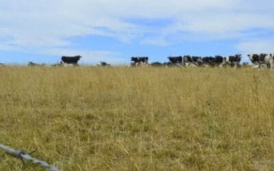 En San José llaman a productores interesados en recolección y acopio de agua.