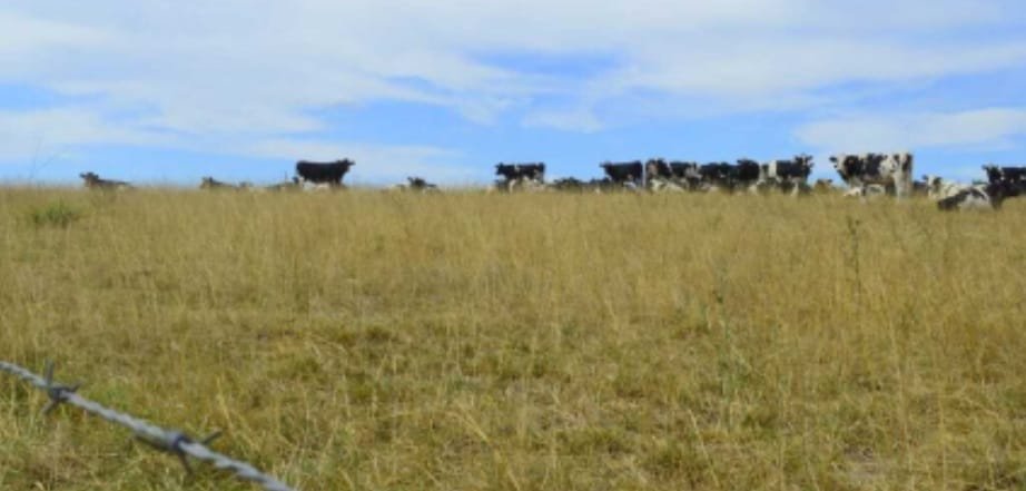 En San José llaman a productores interesados en recolección y acopio de agua.