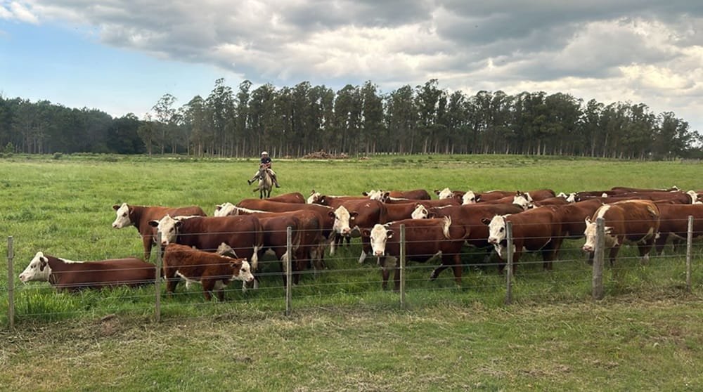 Aclaraciones de INAC sobre afirmaciones equivocadas en el marco de la campaña política electoral.