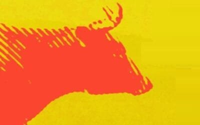 Se viene la 4ta. Jornada del Bovino Criollo Uruguayo 2024