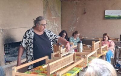 Procesamiento de lana rústica, dando valor a la producción ovina familiar.