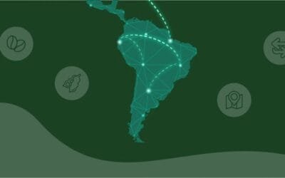 Beneficios de las certificaciones voluntarias de sostenibilidad.