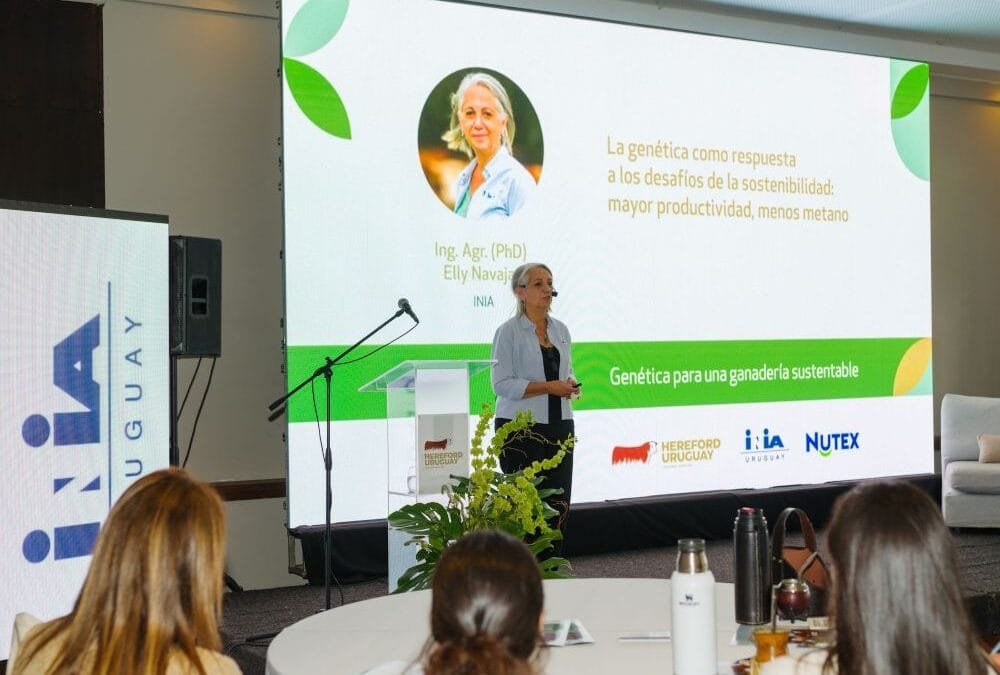 Ganadería sostenible: es posible lograr animales más amigables con el ambiente, sin resignar productividad.