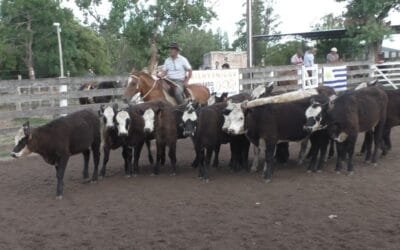 Leonardo Ruglio Bachino tuvo un buen cierre de año en Campanero.