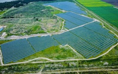 Energías renovables: cuidando el ambiente y ganando independencia energética.