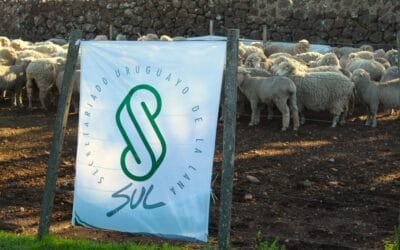 Hoy, jornada abierta FPTA 360 en la ciudad de Artigas