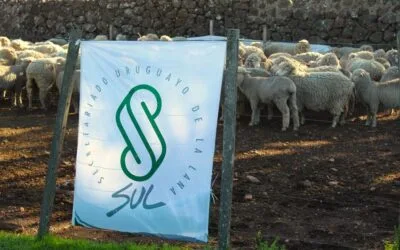 SUL celebraría sus 60 años en junio.