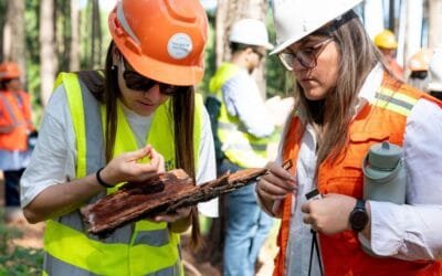 Paysandú recibió a expertos del Cono Sur en sanidad forestal.