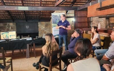 La raza Corriedale se supera a sí misma rompiendo el mito de que afinar es perder carne o lana.