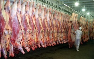 Chile es el mejor cliente que tiene Paraguay