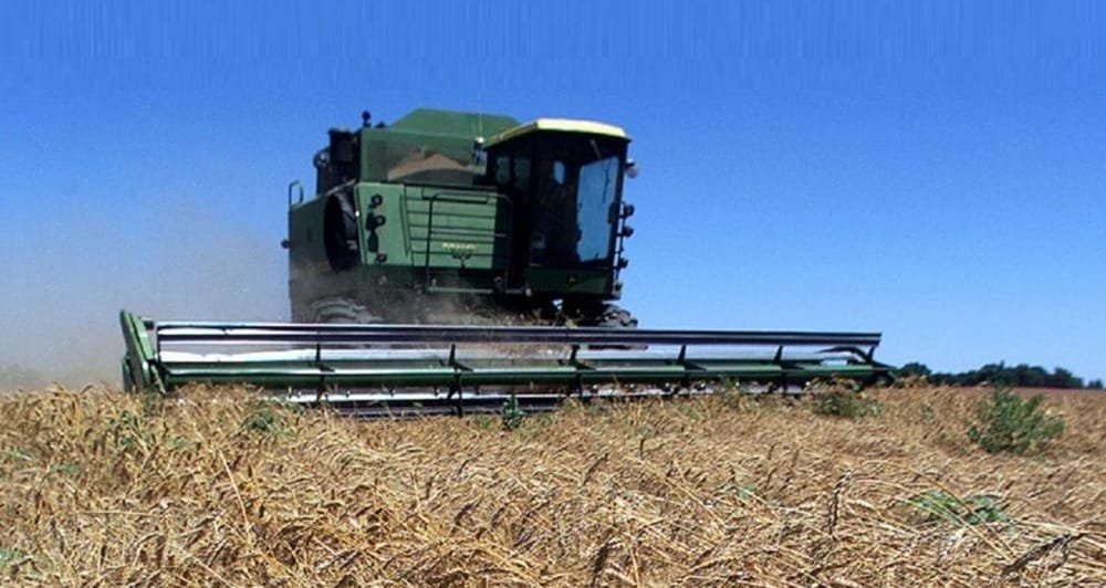 Se conocieron los datos de la encuesta agrícola de invierno 2024.