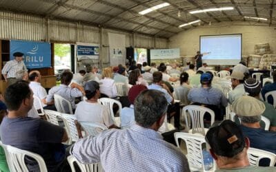 Entrega de carneros 2023 de Crilu. La generación más pesada y más fina en más de 20 años.