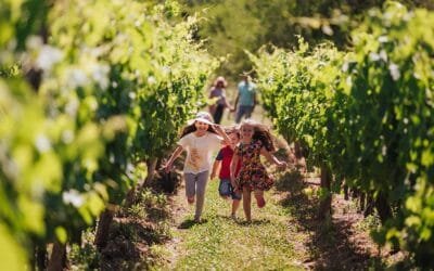 Enoturismo valor agregado en la producción vitícola