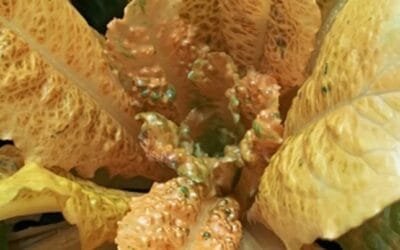 Crean lechugas doradas con alto contenido antioxidante y beneficios para la memoria.