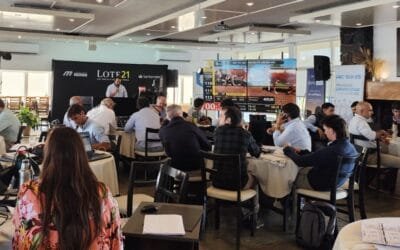 Lote 21 remata hoy 6.500 vacunos y 3.200 ovinos.