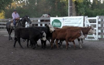 Montero & Fernández: Agilidad y los buenos valores pautaron la pista del Campanero