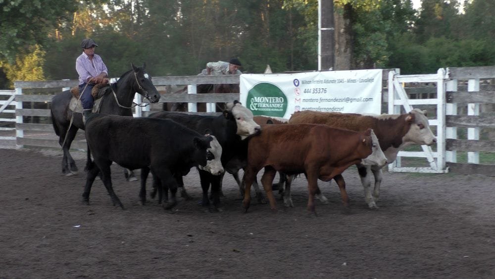 Montero & Fernández: Agilidad y los buenos valores pautaron la pista del Campanero