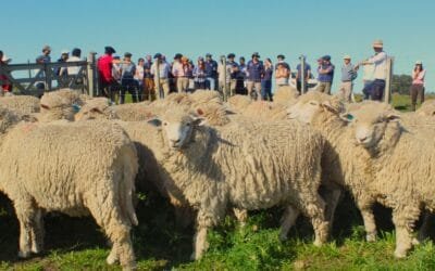 Se viene la jornada abierta FPTA 360 en Pirarajá, con charla de Roy Harley.